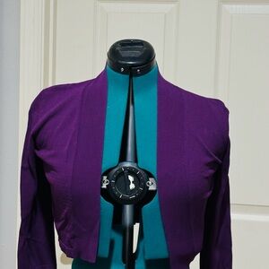 Ann Taylor Women's Purple Blazer